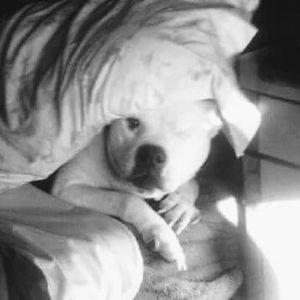 Meet your Posher, Dean